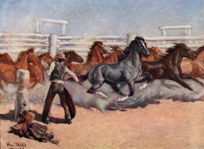 Smoky il cavallo da rodeo da Unbekannt Unbekannt